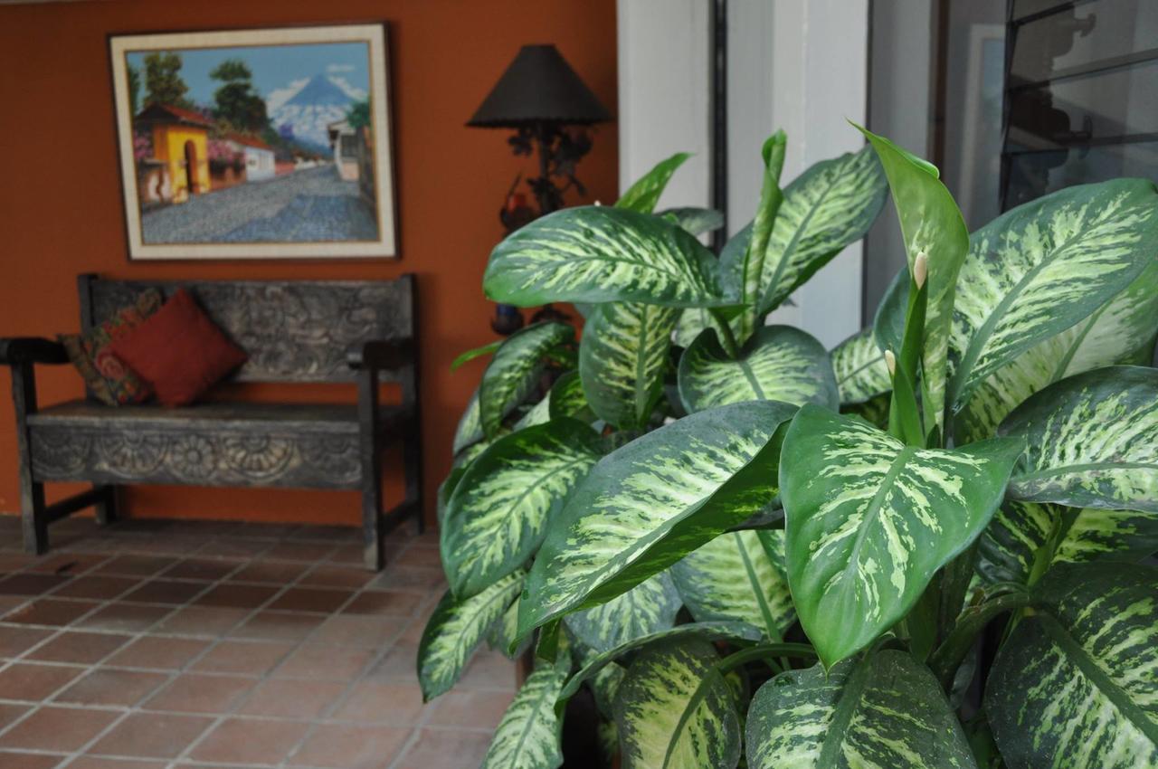 Apart-Hotel Posada San Judas グアテマラシティ エクステリア 写真